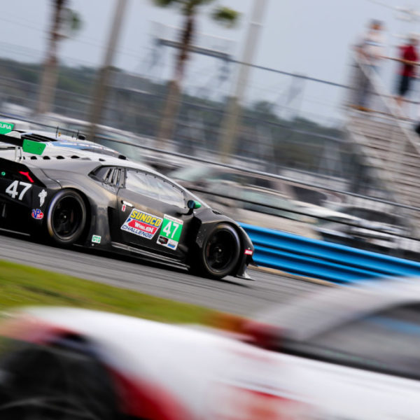 Roar24-81