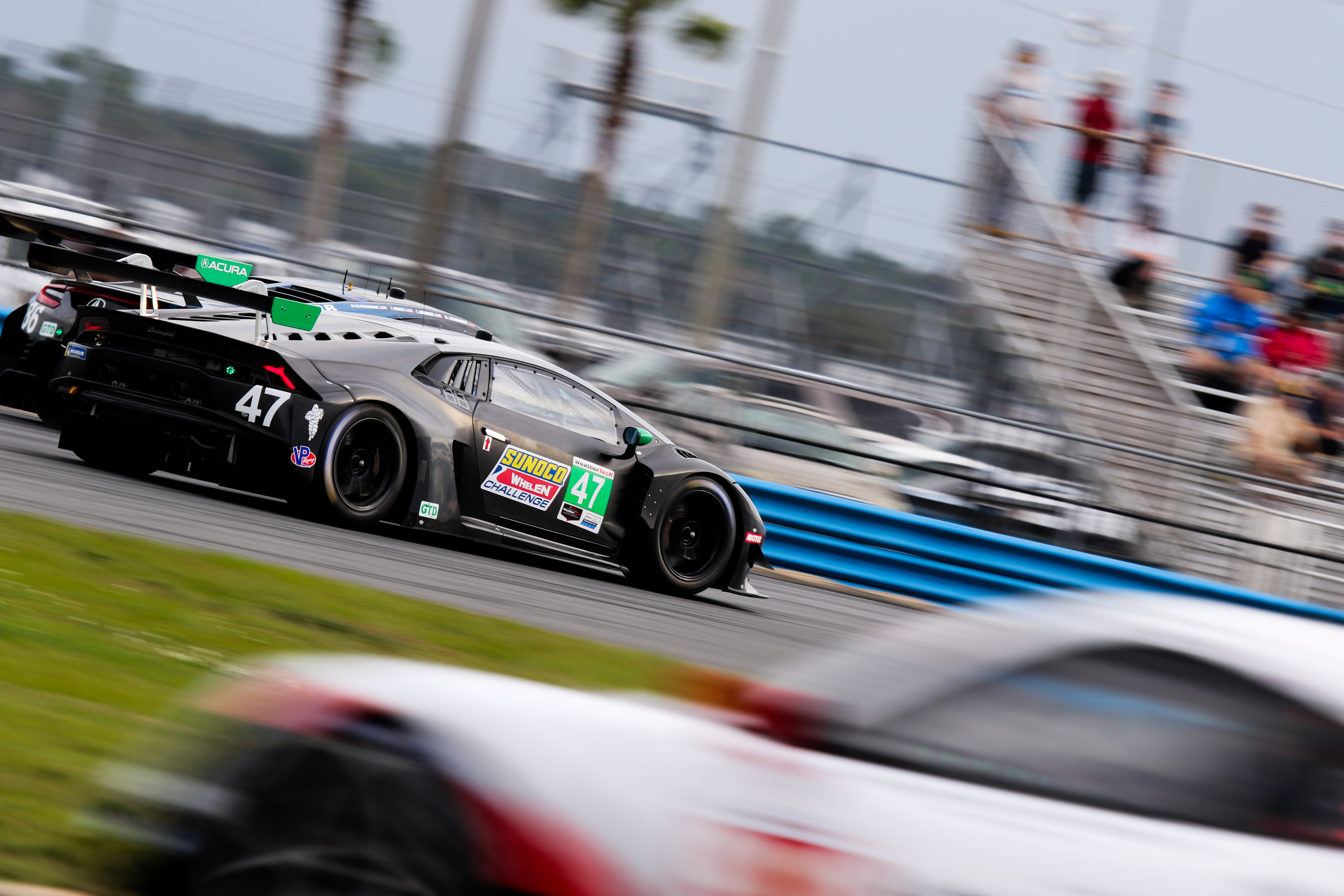 Roar24-81